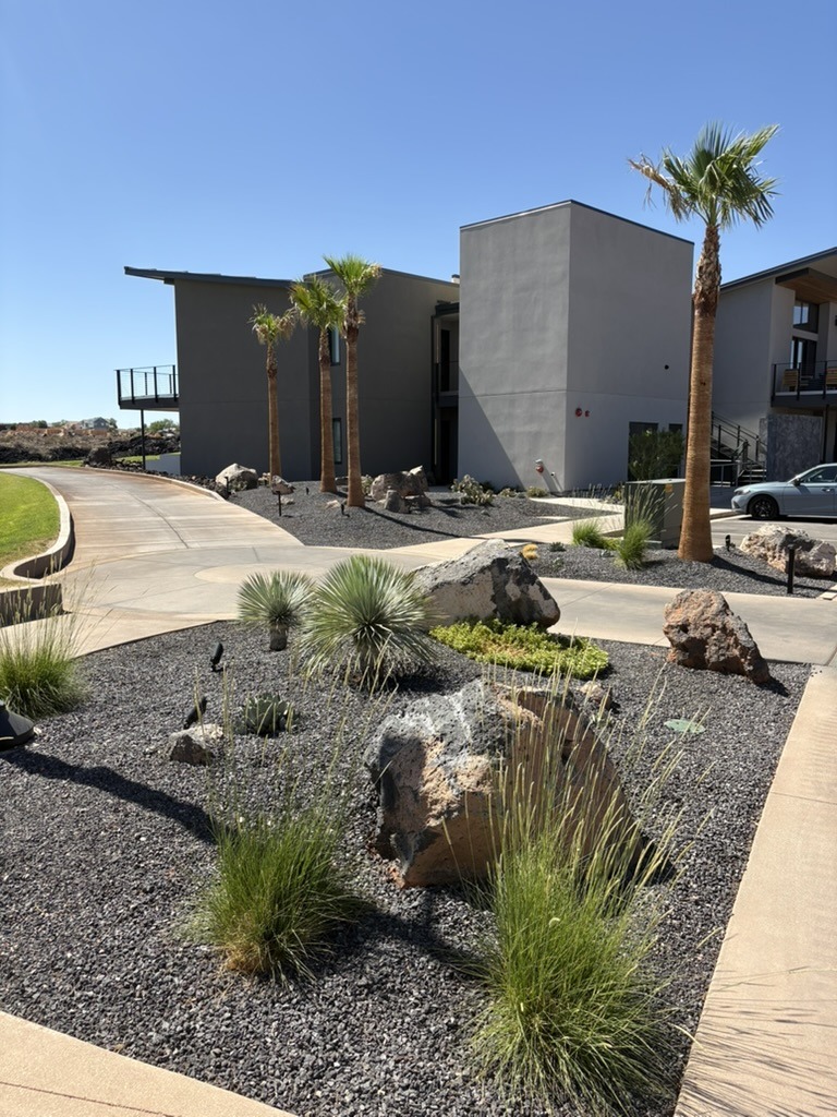 Modern building with desert landscaping and palm trees.