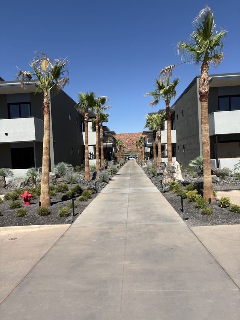 Palm tree-lined path between modern buildings