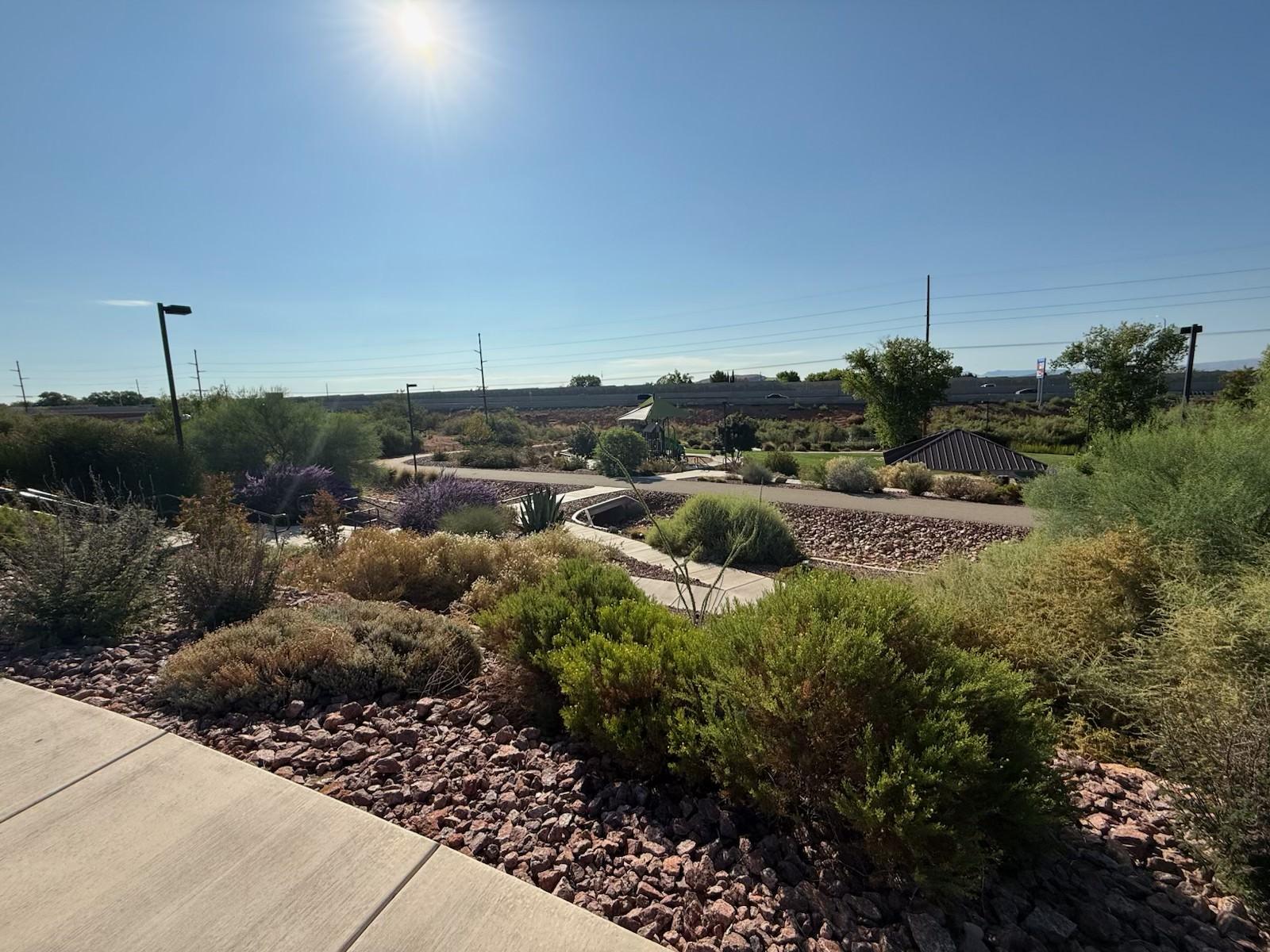Commercial landscape featuring native and drought-tolerant plants, decorative rock mulch, and clean walkways in a low-maintenance outdoor business setting.