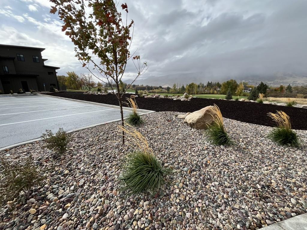 Commercial property landscape with decorative gravel, ornamental grasses, young trees, and parking area under overcast sky