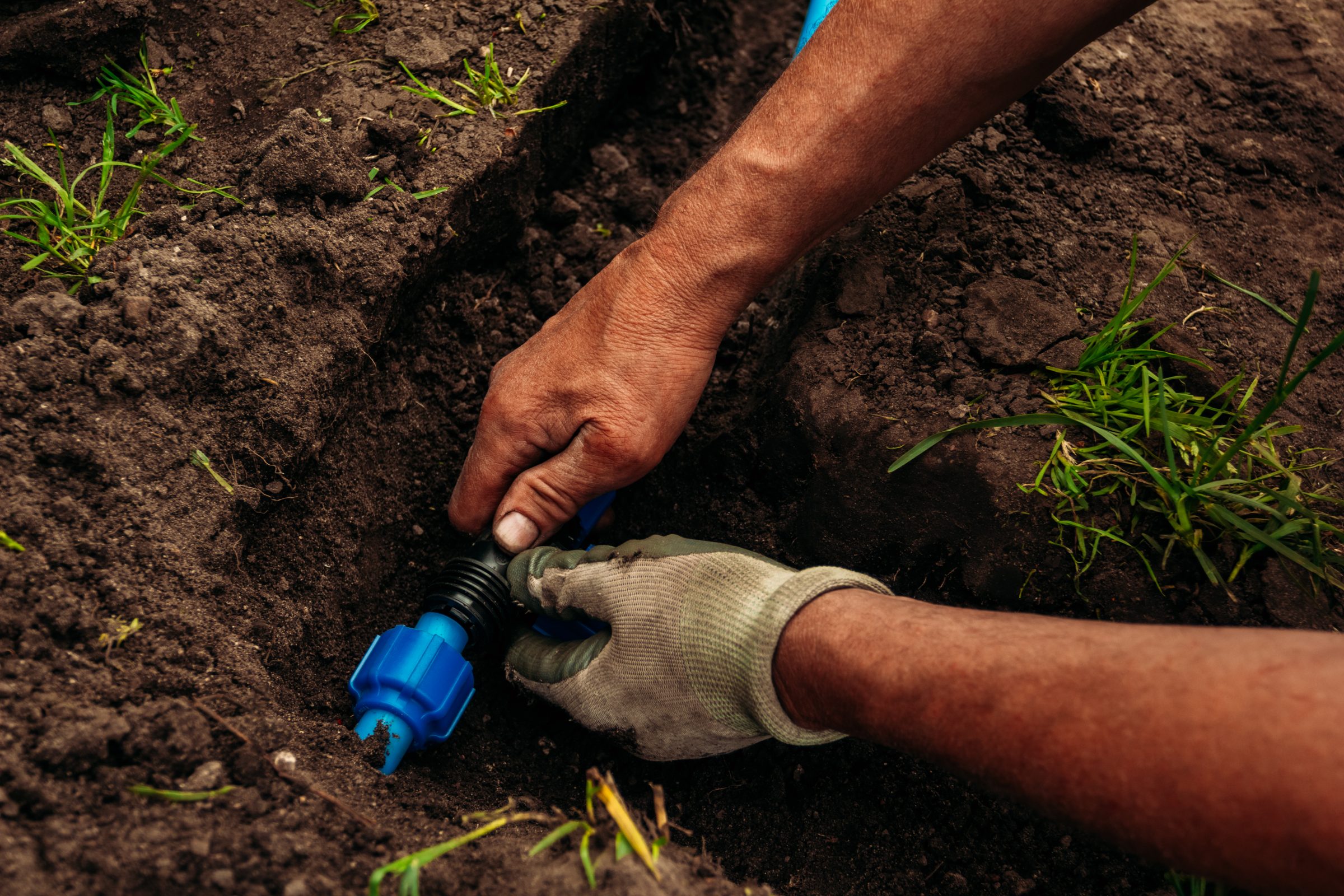 Hands installing irrigation pipe in dirt
