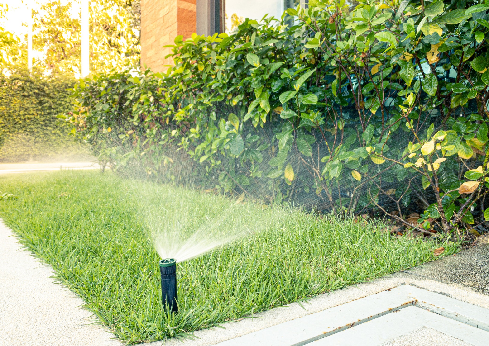 Garden sprinkler watering green lawn and bushes.
