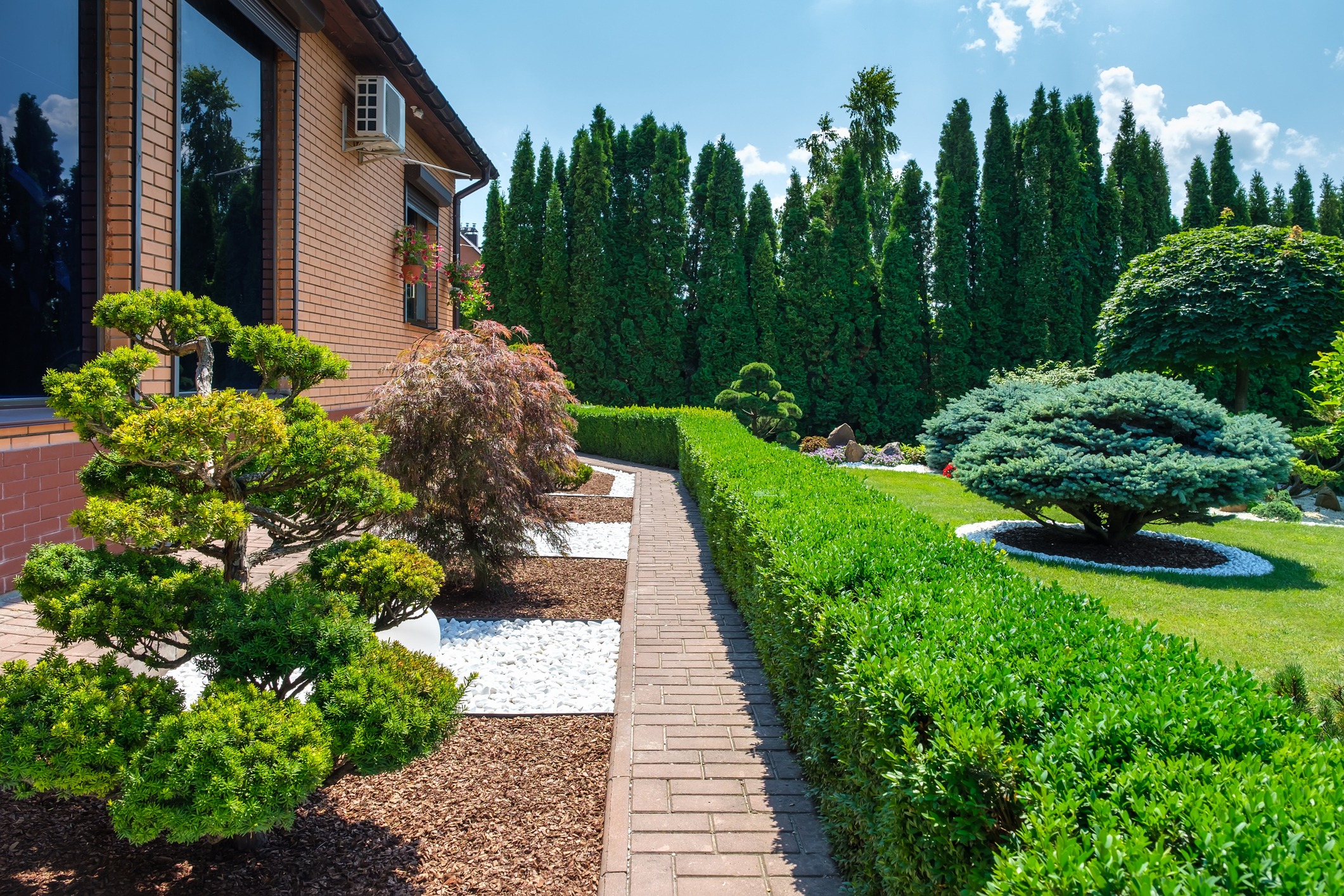 Manicured garden with path and trimmed hedges