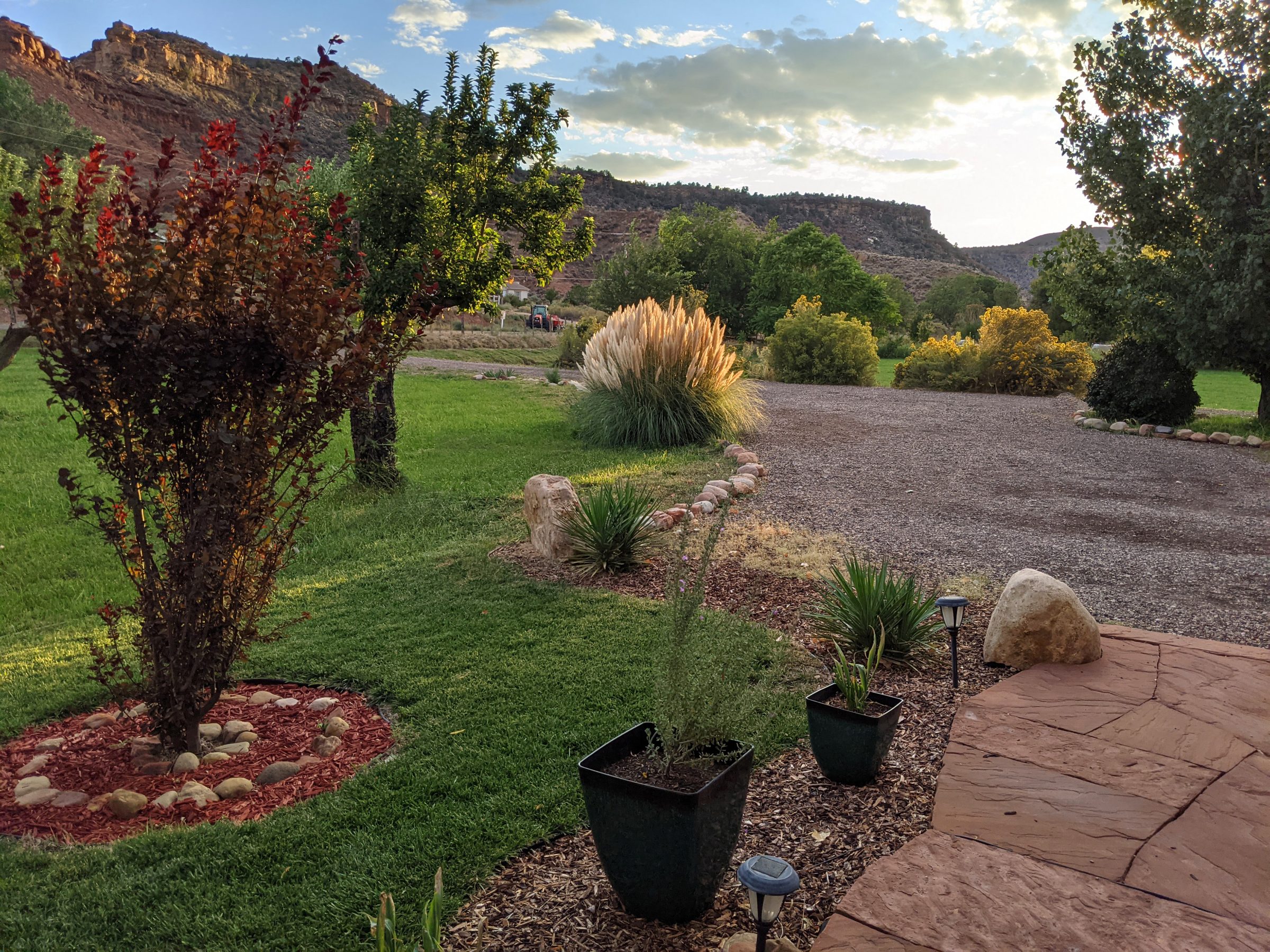 Scenic landscaped garden with gravel path