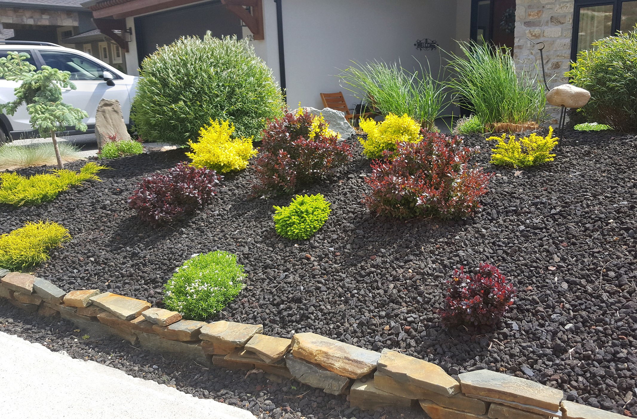 Colorful garden with various shrubs and decorative stones.