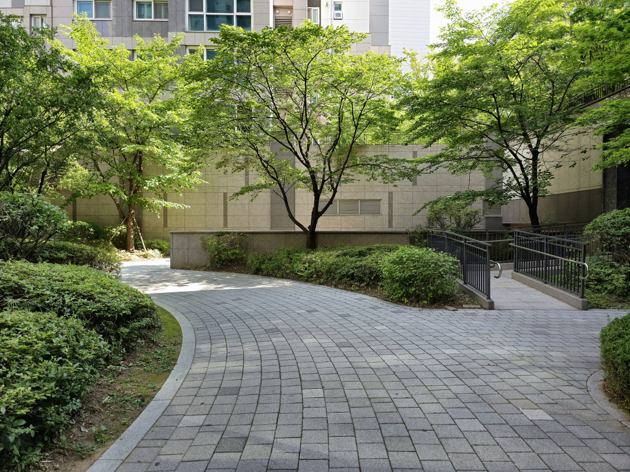 Winding path through a lush, green garden.