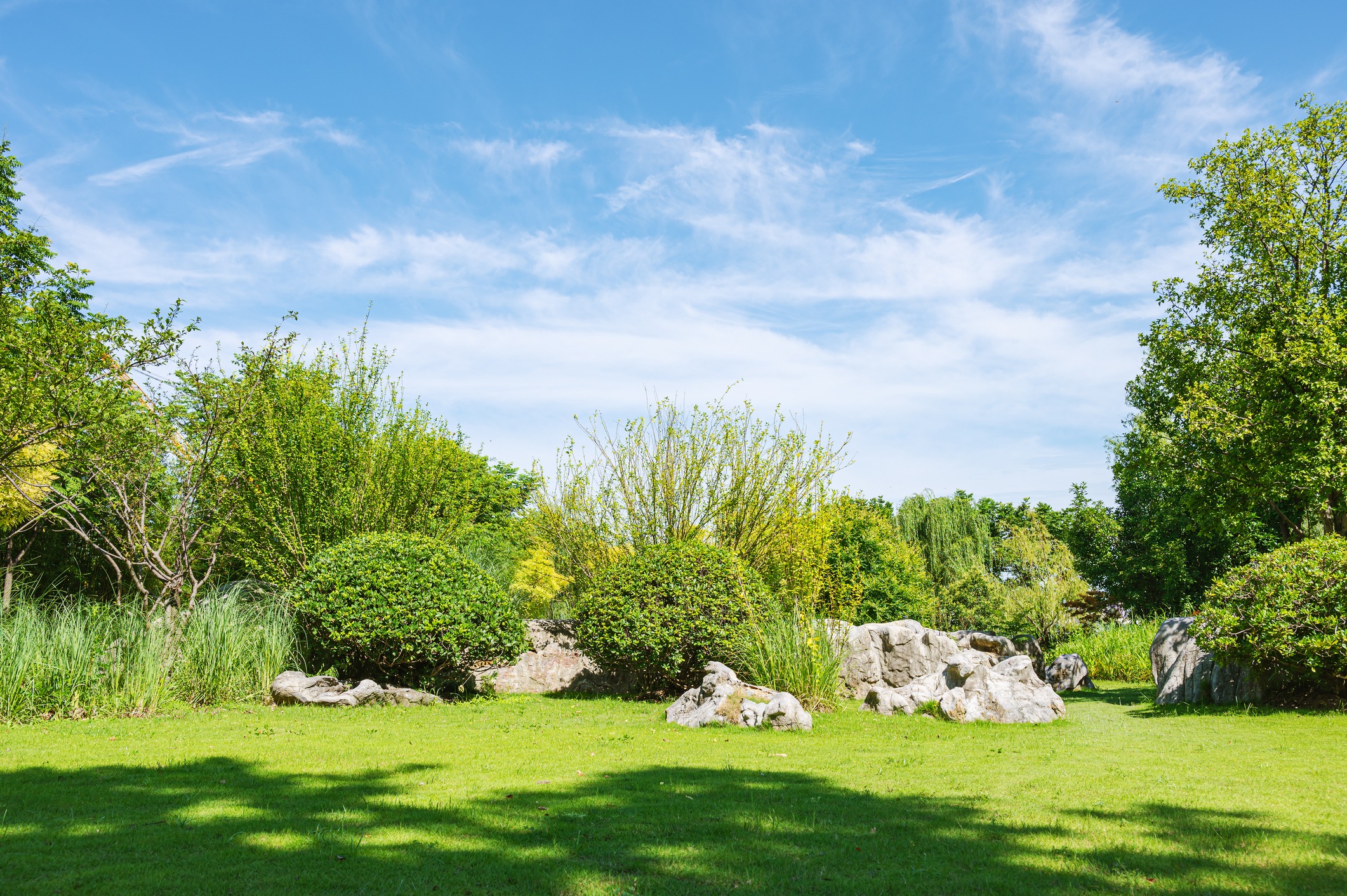 Sunny garden with rocks and green trees.
