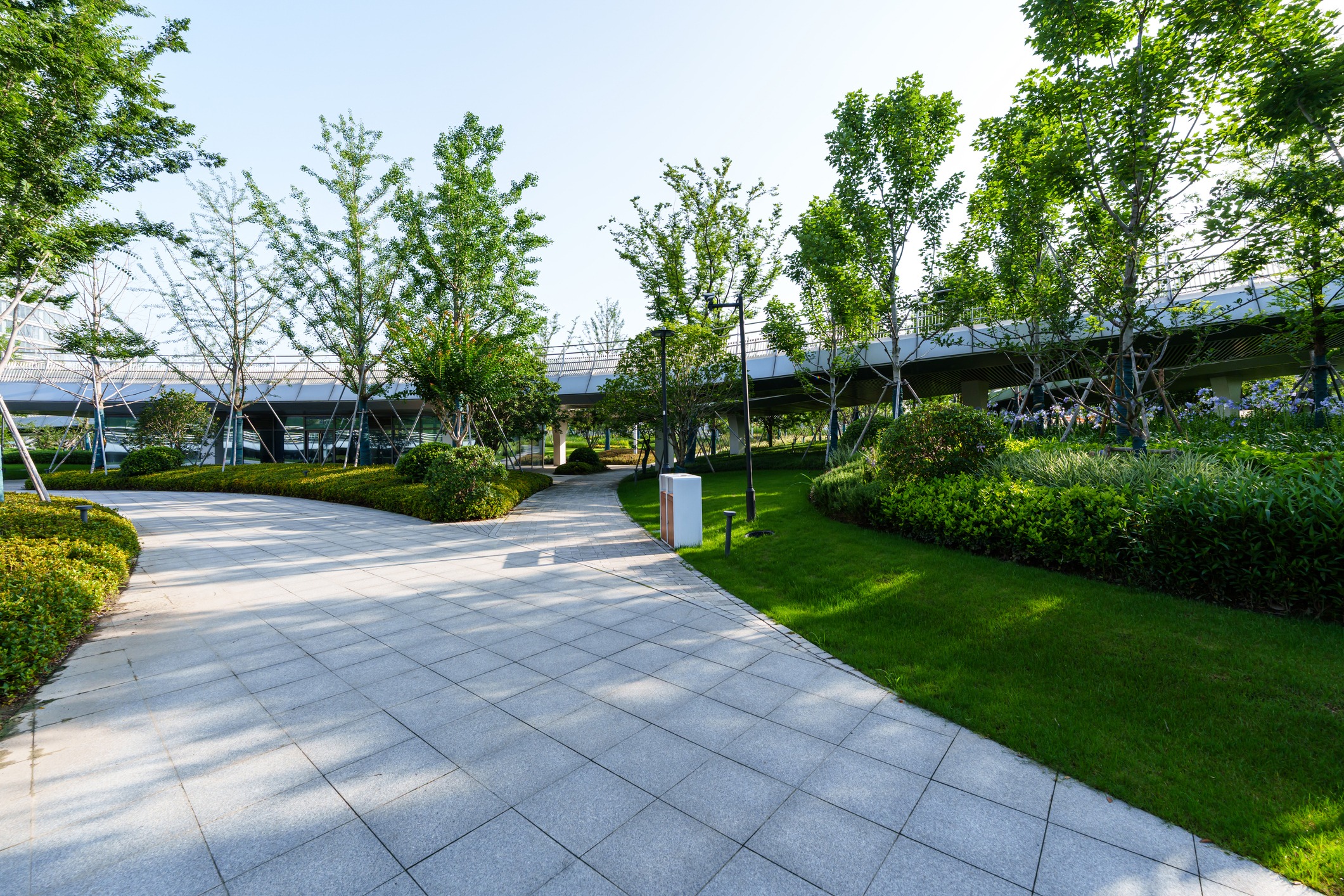 Modern garden with trees and paved paths