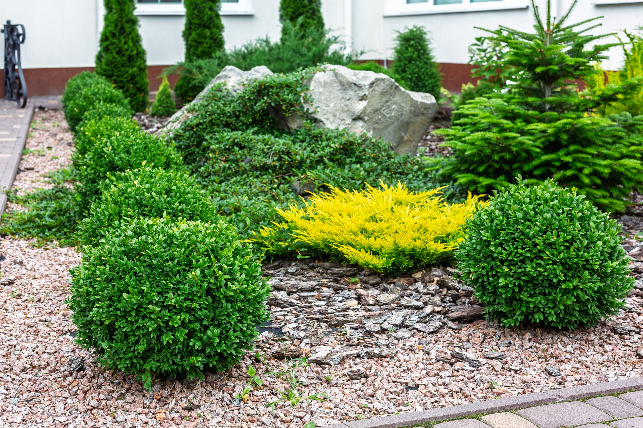 Lush garden with rocks and green shrubs.
