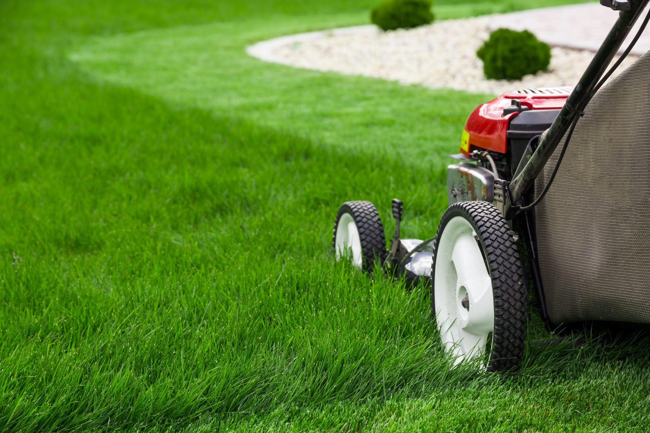 Lawn mower cutting green grass in garden.
