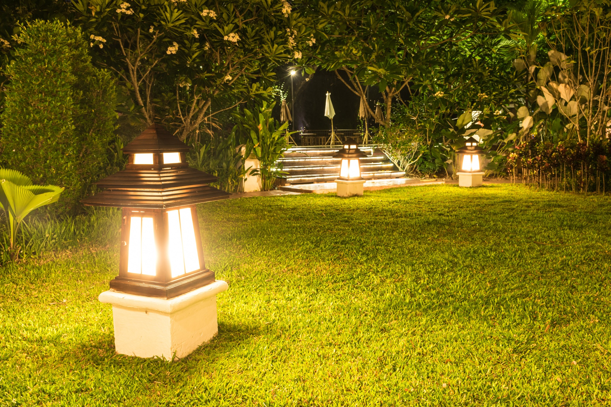 Garden pathway with lanterns and greenery at night.