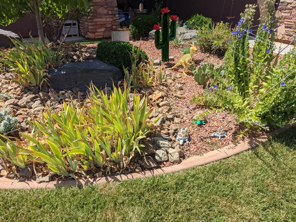 Xeriscape garden bed featuring decorative rock, drought tolerant plants, ornamental cactus decor, and curved landscape edging